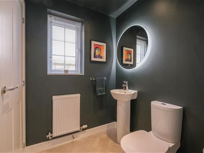 Picture 17